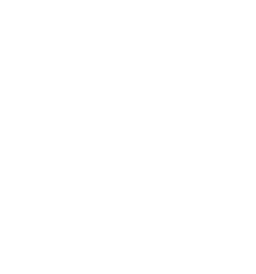 Global Lynk Logo White